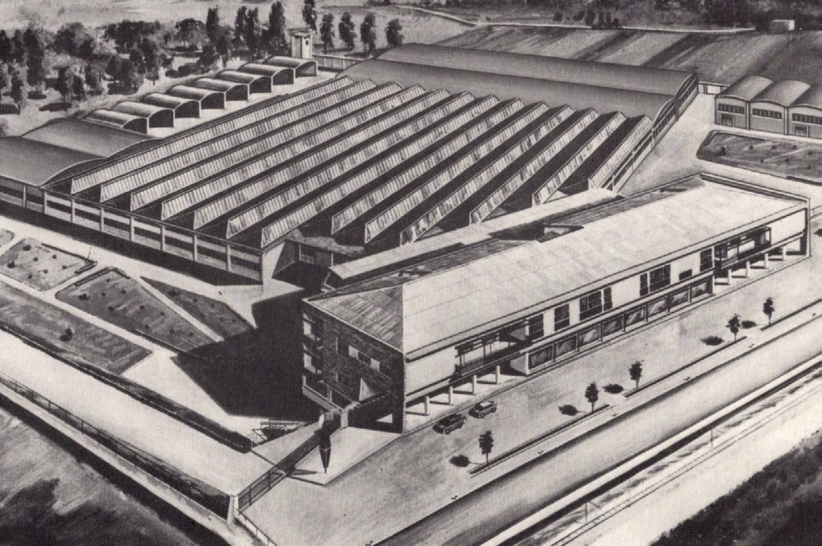 Tekening van de fabriek van Felice Rossi in Casorate Sempione, jaren vijftig